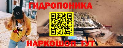 стаф Свободный