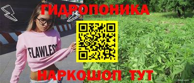 стаф Свободный