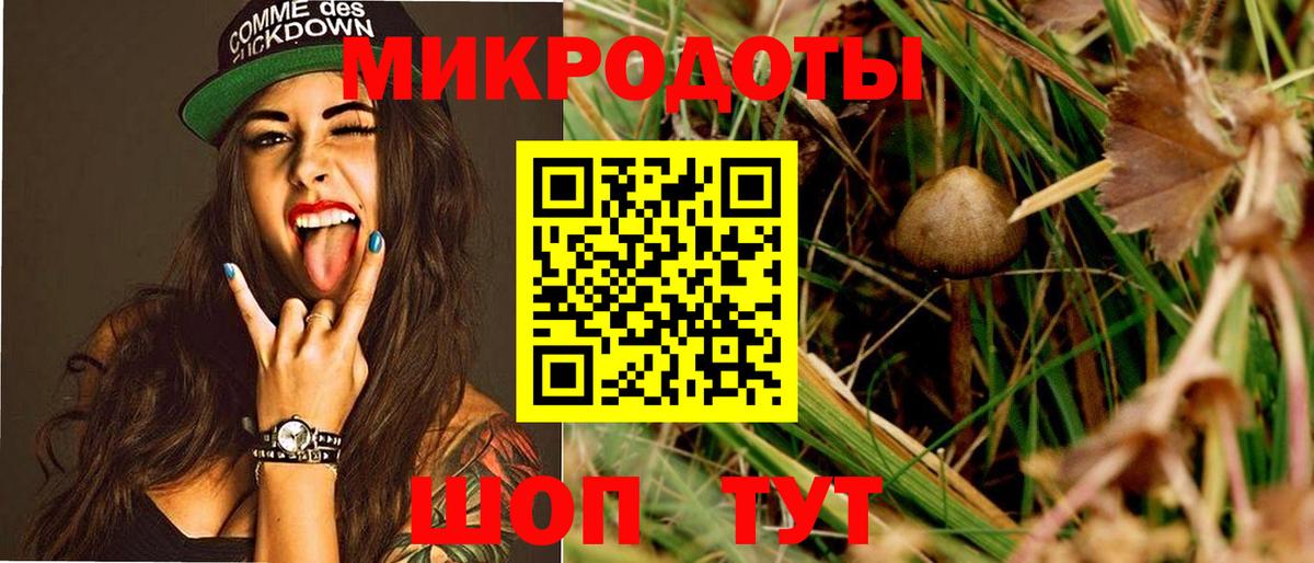 Псилоцибиновые грибы мухоморы Новоалтайск